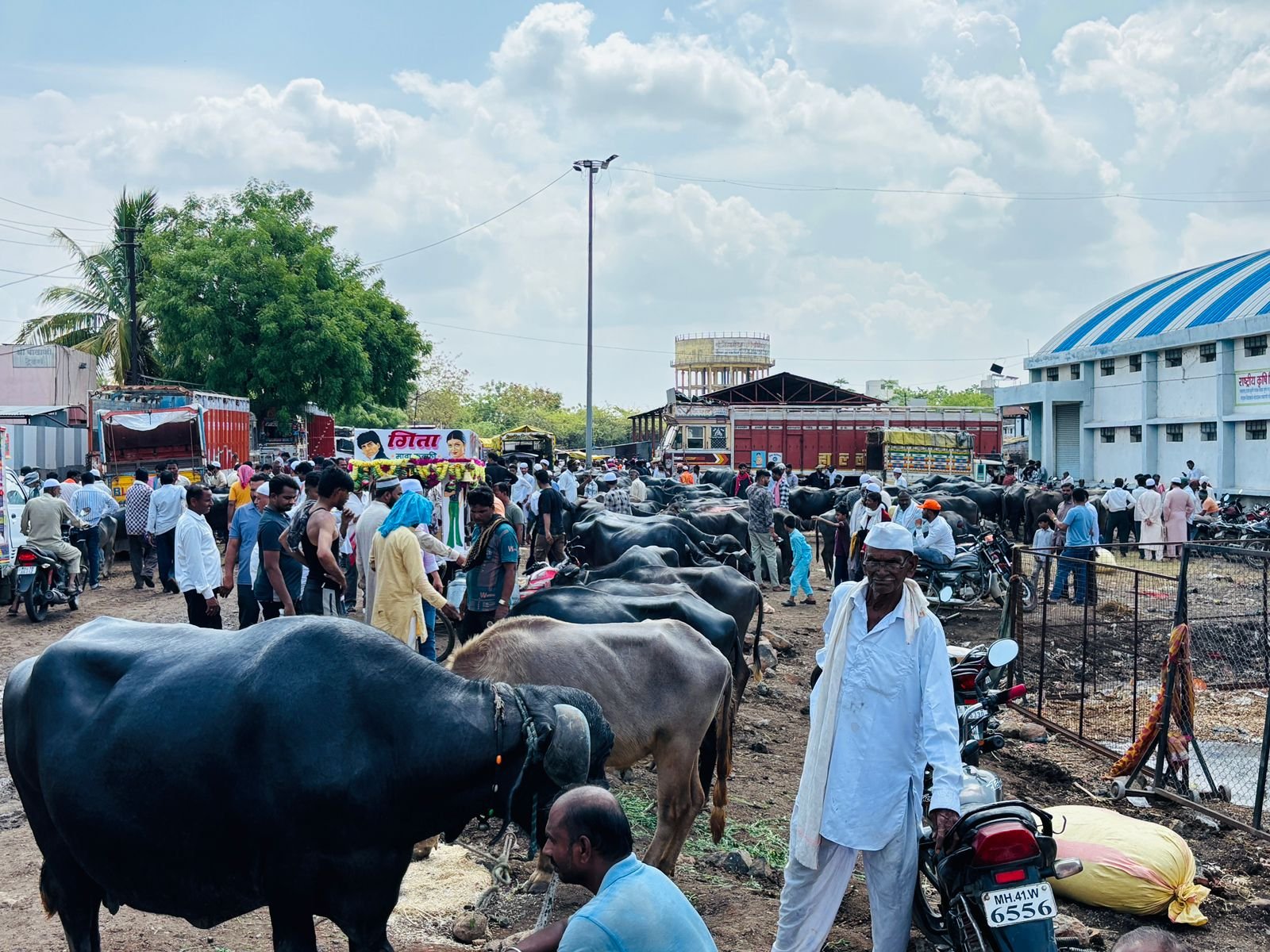 गुरांचा बाजार