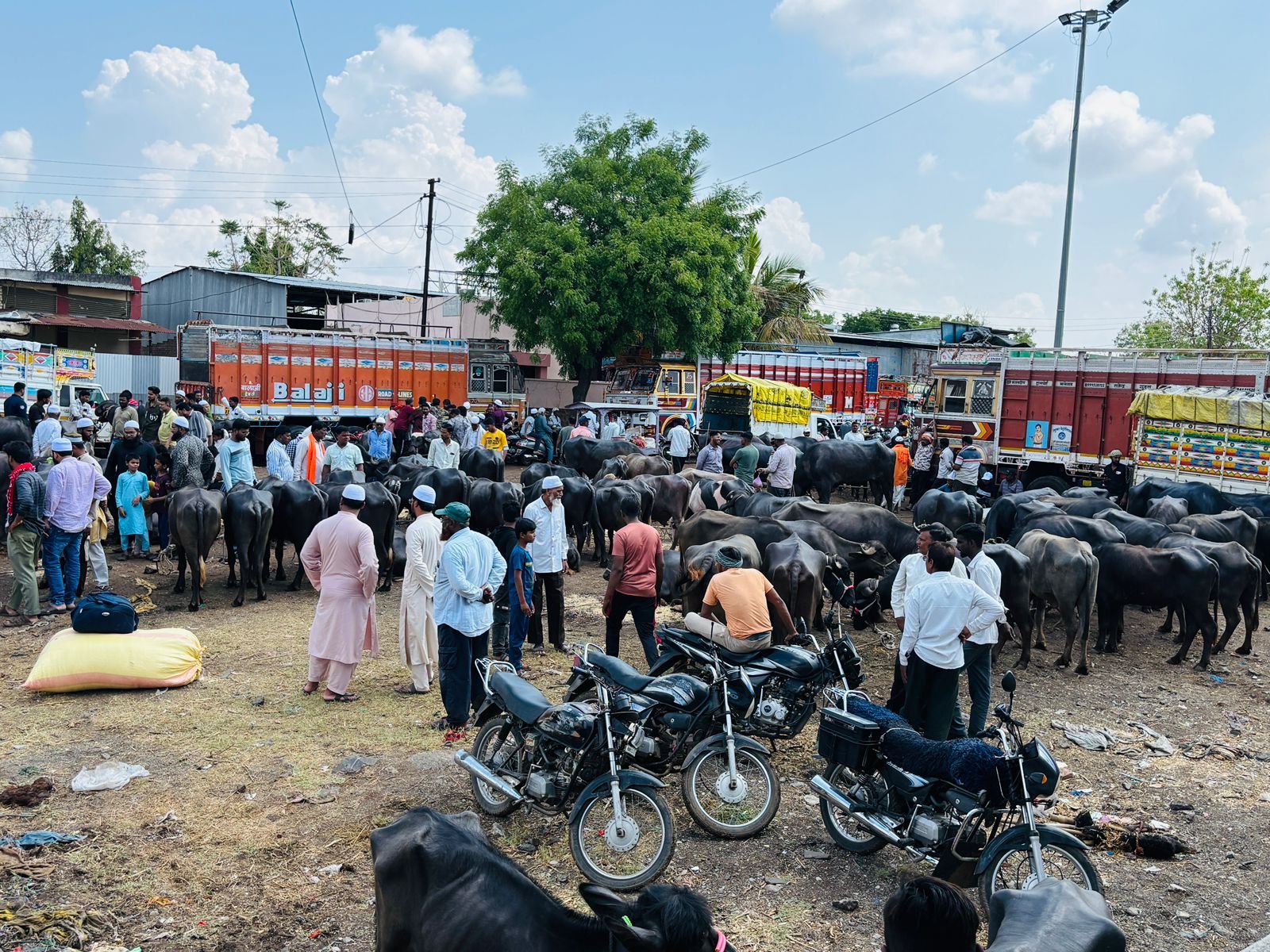 गुरांचा बाजार 