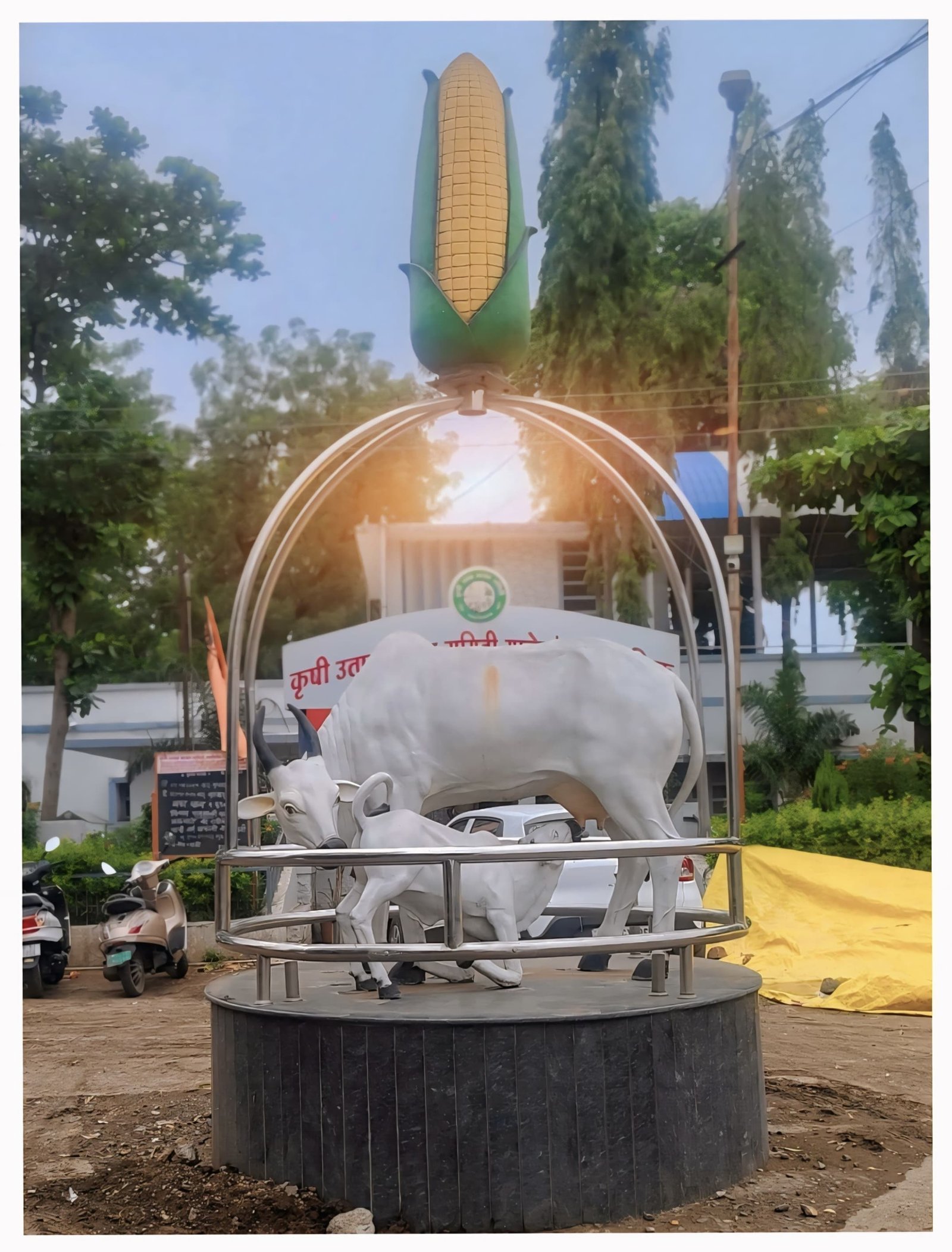 गाय वासरू देखावा